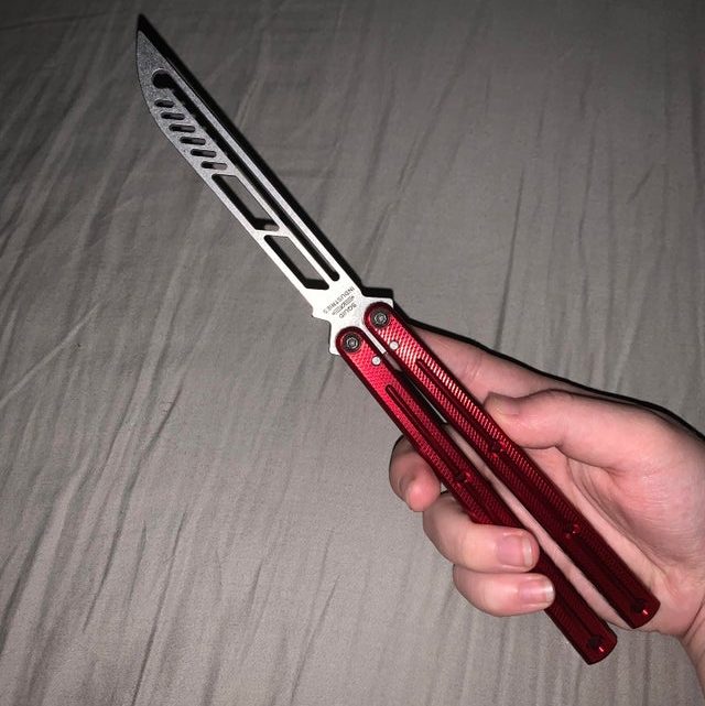 Vu sur Reddit: NTD :D traded this + cash for my gale, gonna pick up a naut when I can too