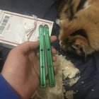 J’ai donc acheté un Kraken vert blade show de u / TheGoldenWeed et ce bâtard m’expédie un putain de burrito de calamars